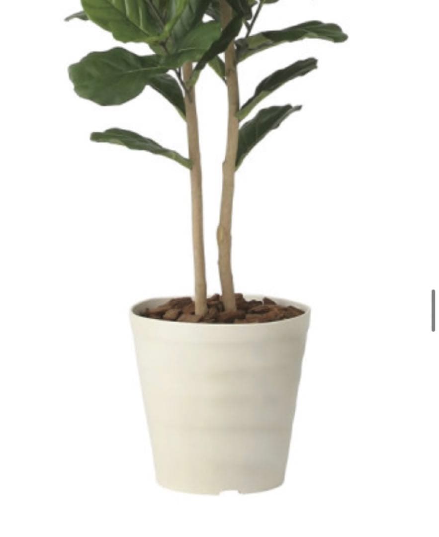 光触媒　人工観葉植物　ウォールグリーン　フェイクグリーン　カシワバゴム1.8