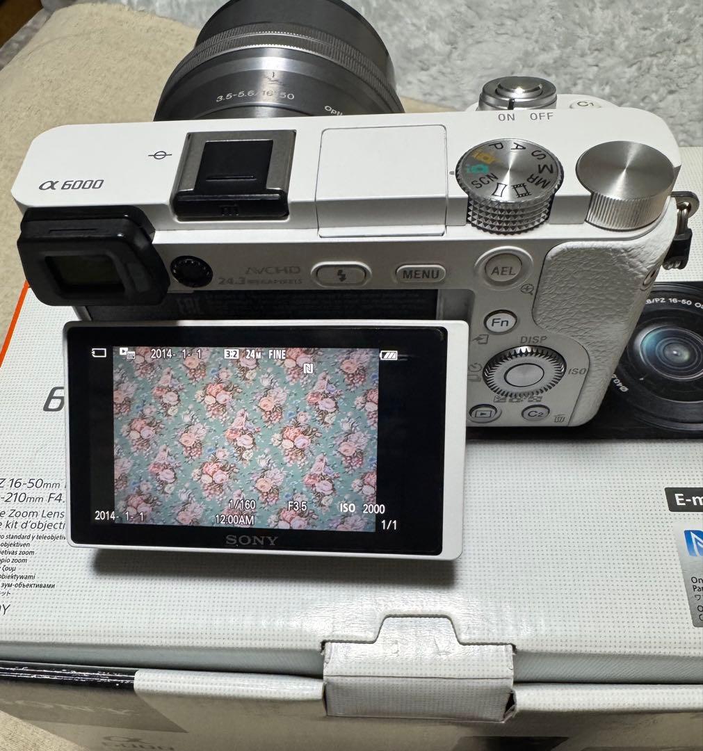 SONY ソニー α6000 ILCE-6000Y ダブルズームレンズ付き