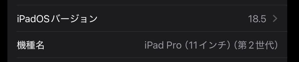 iPad Pro 11インチ 第2世代 128GB wifiモデル