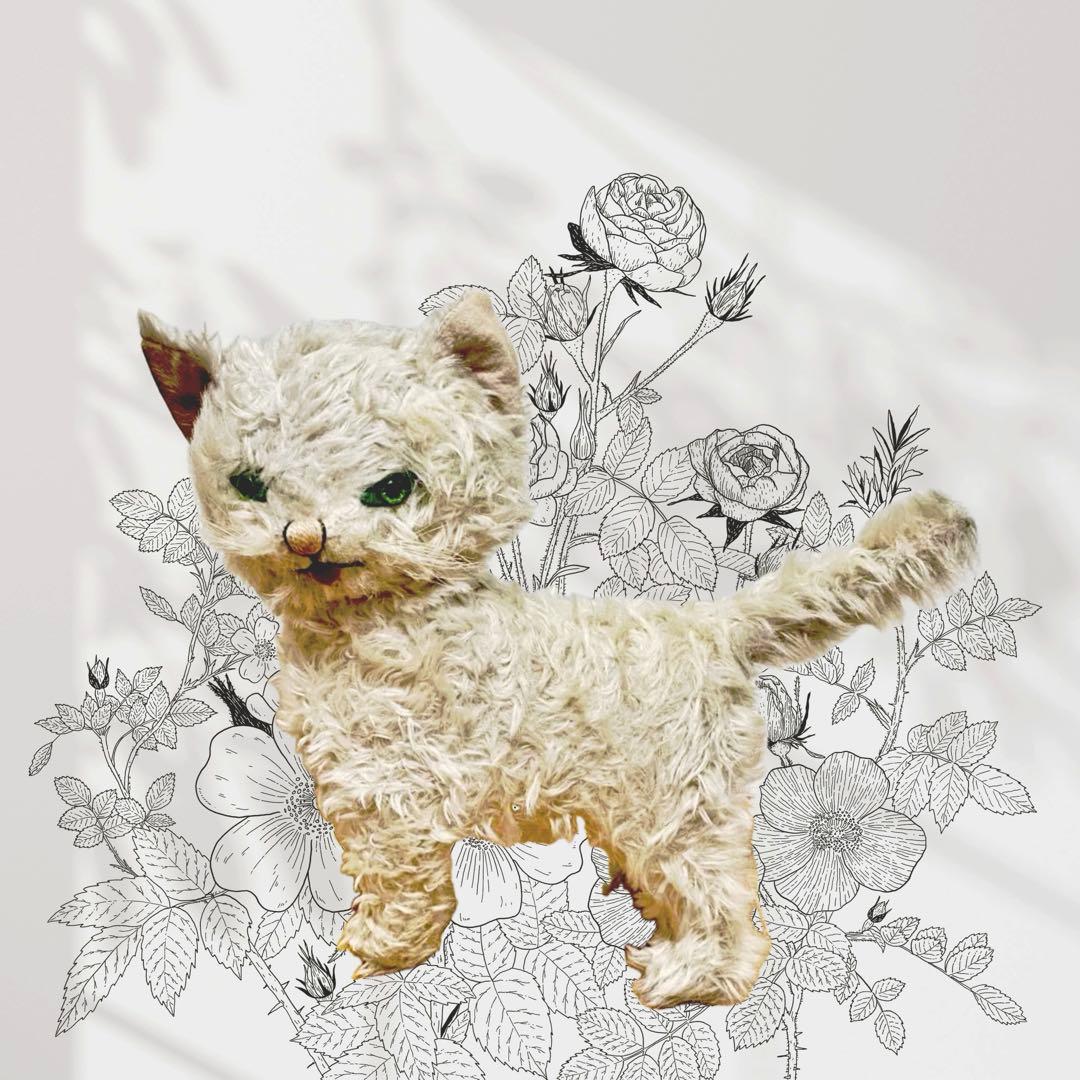 激レアKnickerbockerキティカドルズ 猫 セルカークレックス 限定販売