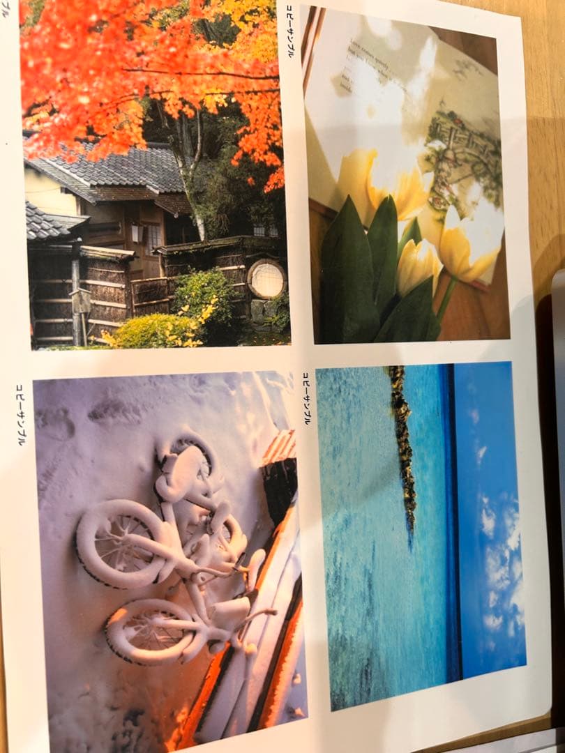 EPSON PM-A920 プリンター・複合機　インク100%