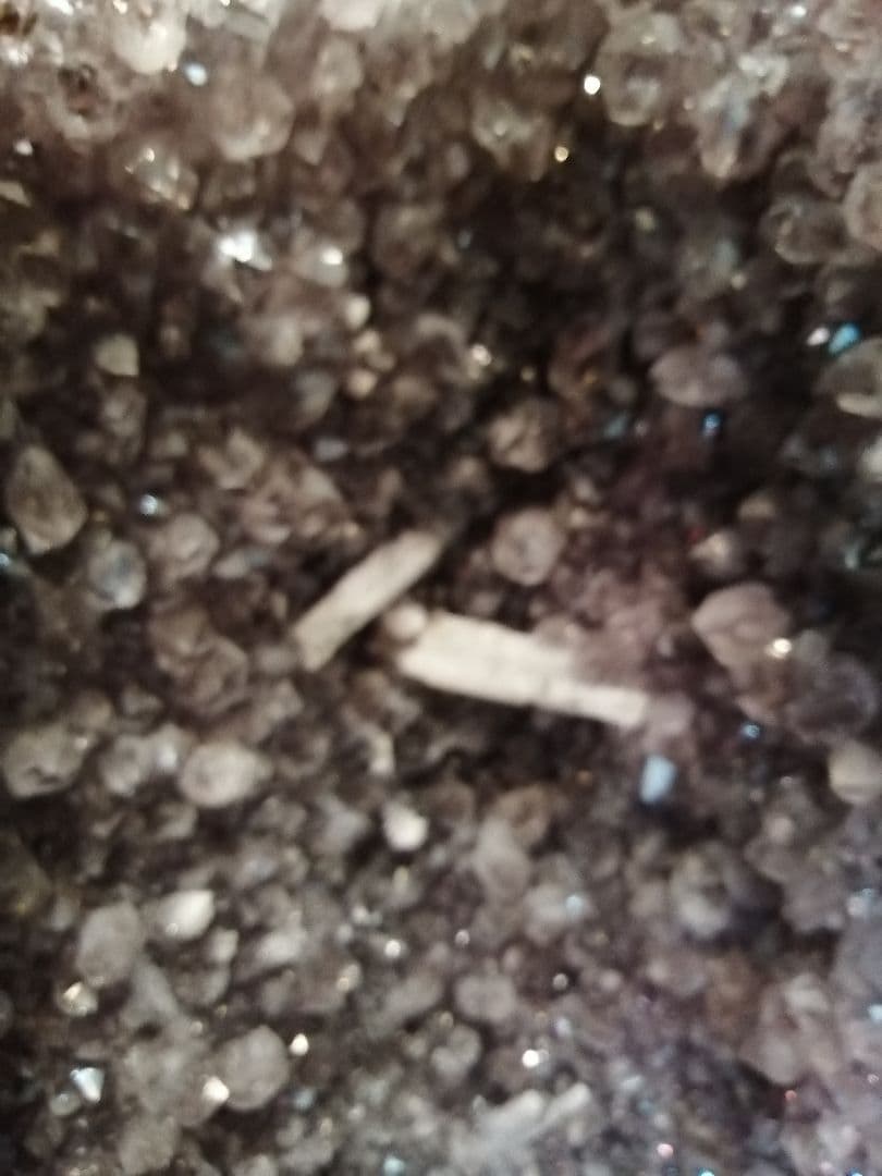 アメジストドーム 43kg