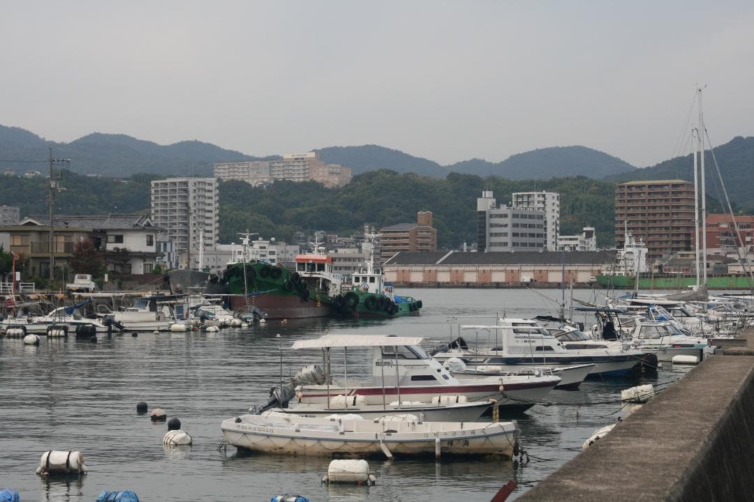 キャノン　EOS KissデジタルX、キヤノンズームレンズ35-105ｍｍ