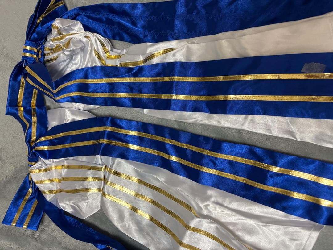 14時迄値下FateGrandOrder(FGO/アーキタイプ.アース/コスプレ