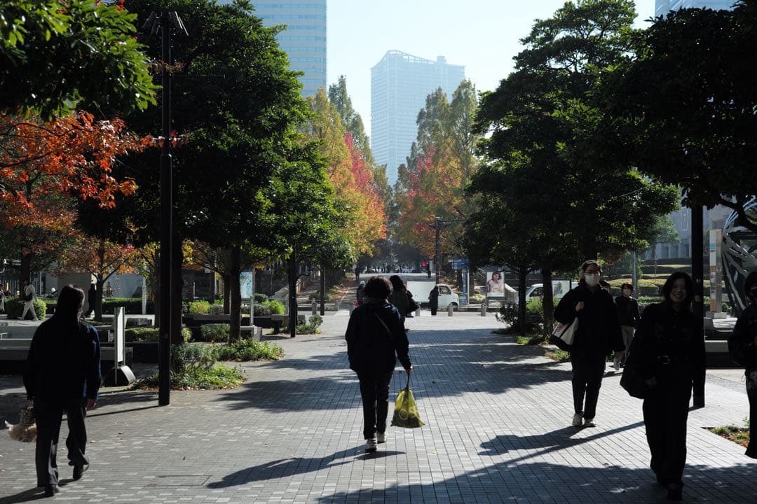 Leica 固定　ズミクロン　50mm F2