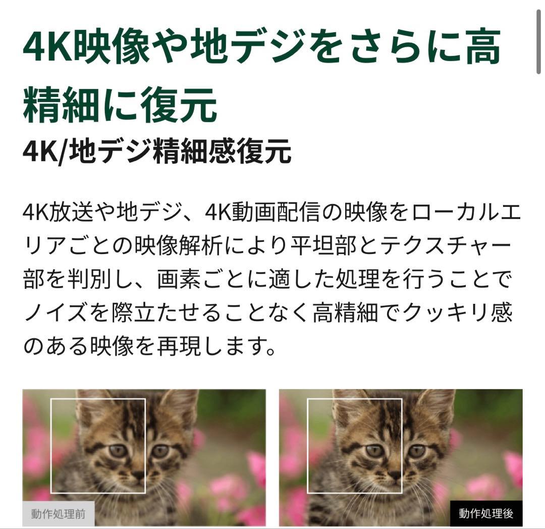 TOSHIBA REGZA 4K対応液晶テレビ[50インチ] 23年製