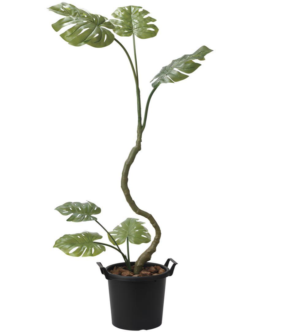 光触媒　人工観葉植物　フェイクグリーン　インテリアモンステラ1.7