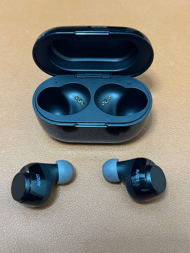 イヤホン AVIOT TE-V1R-BK