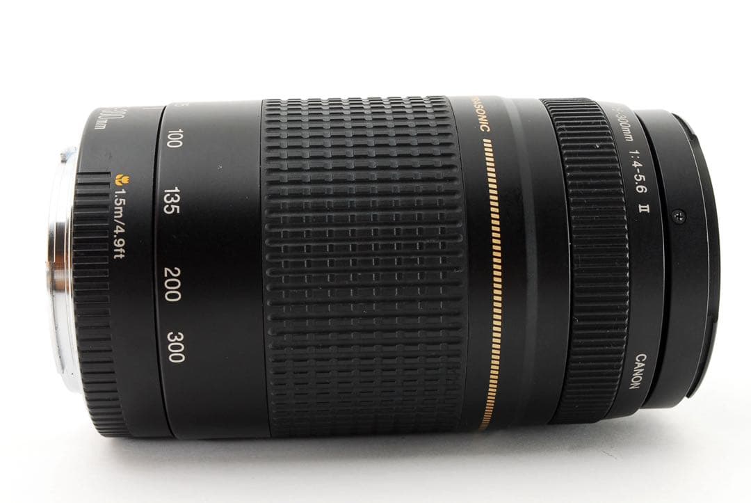 イベント/スポーツ/人気の望遠レンズ/Canon EF75-300㎜