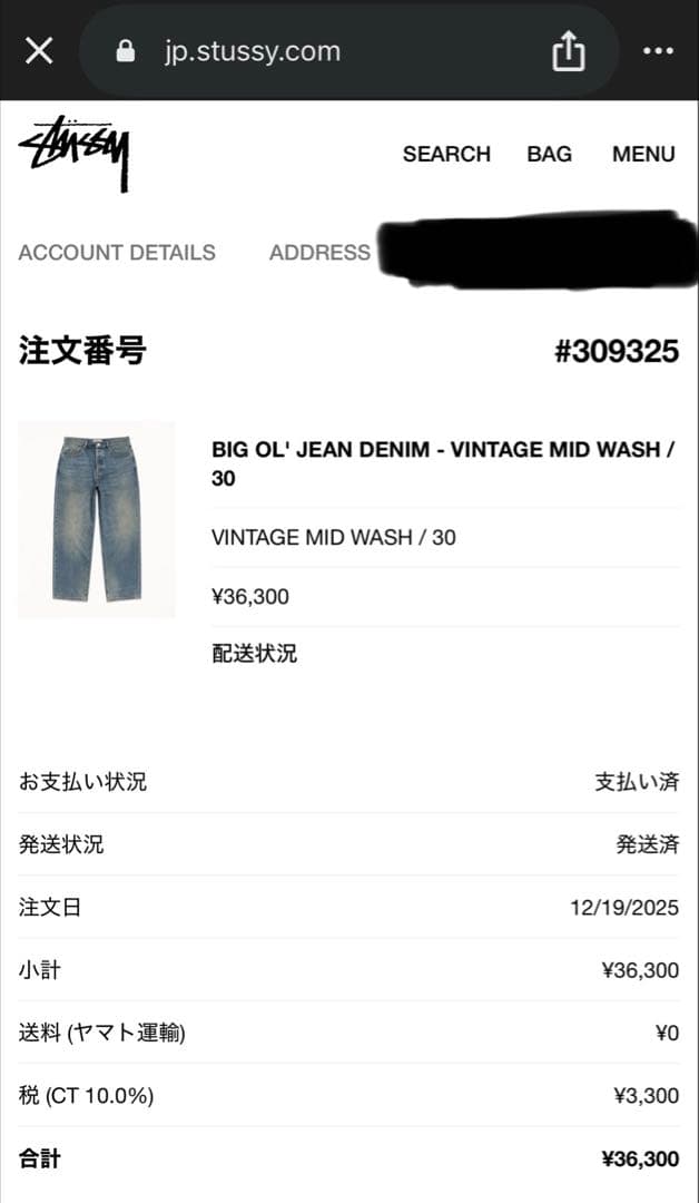 Stussy BIG OL' JEANS W30インチ