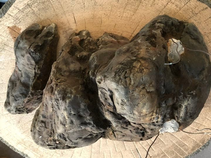 素晴らしい盆栽の石(石付きのおすすめです)