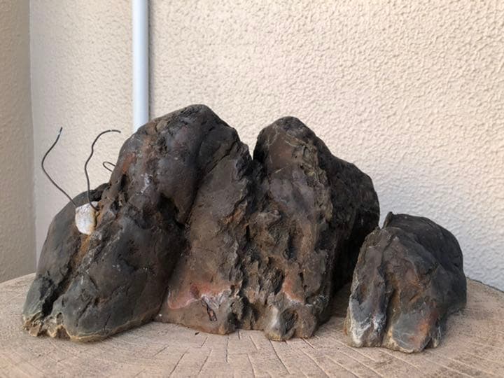 素晴らしい盆栽の石(石付きのおすすめです)