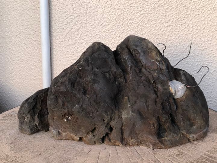 素晴らしい盆栽の石(石付きのおすすめです)