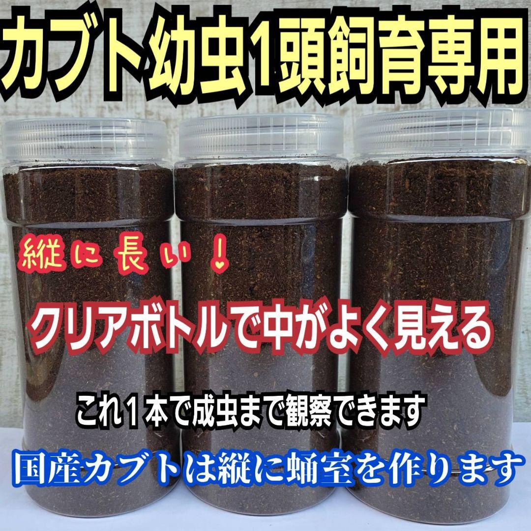 発酵マット入り！国産カブトムシ幼虫1頭飼育専用縦長クリアボト【30本セット】