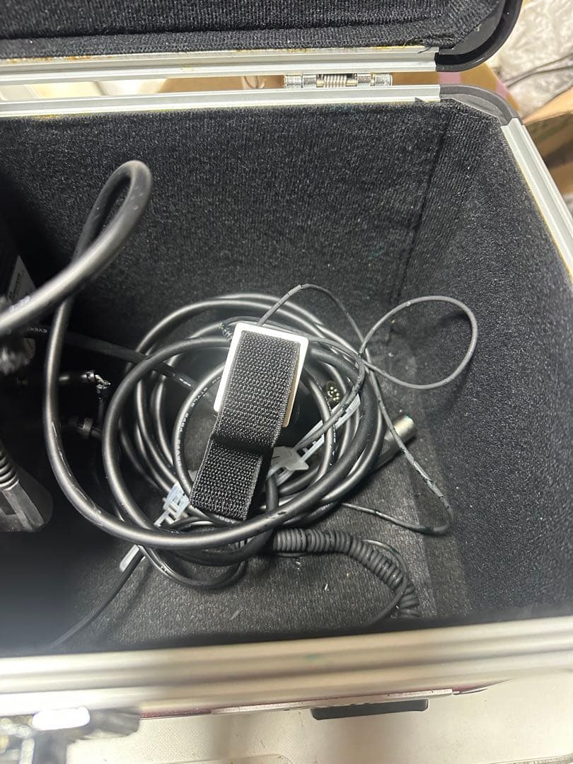 LAVIE 超音波美顔器 本体と専用ケース