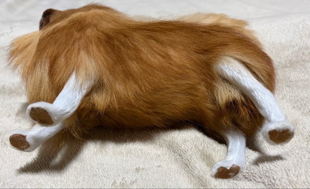 犬　ポメラニアン　リアル　置物