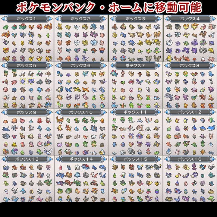 ポケットモンスター　ウルトラムーン　【ウルトラサンムーン】ポケモン　3DS　13