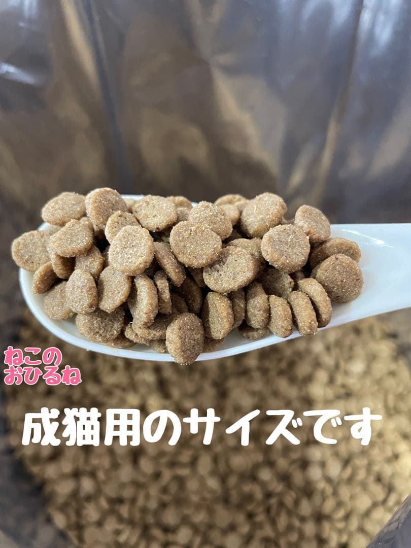 ニュートロ　シュプレモ　成猫用（チキン&サーモン）3kgパック×３袋