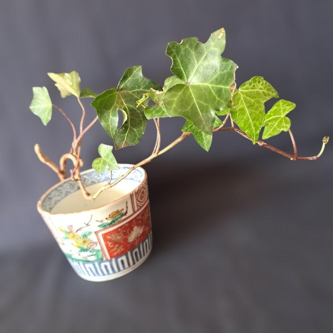 「菊と角(かく)のデザイン！」 古伊万里蕎麦猪口(直径8.5cm ) 骨董アンテ