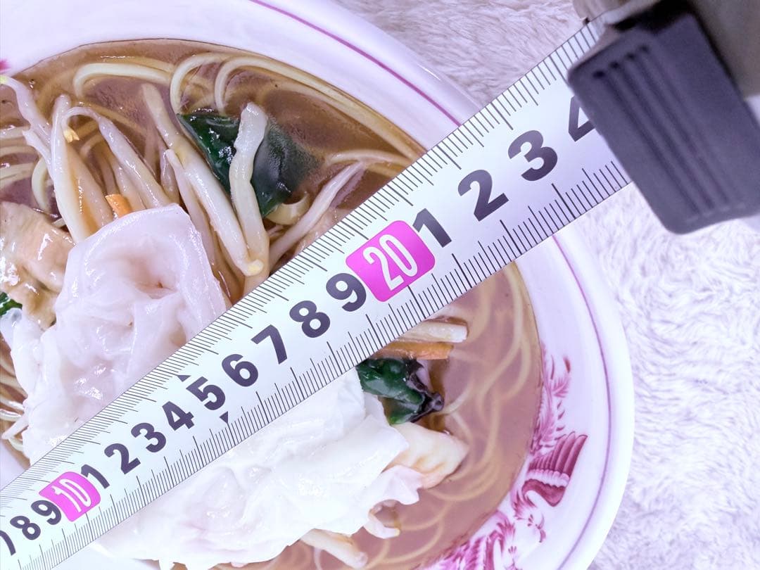 食品サンプル ワンタンメン 日本製 職人制作 高精度 リアル模型 直径23cm