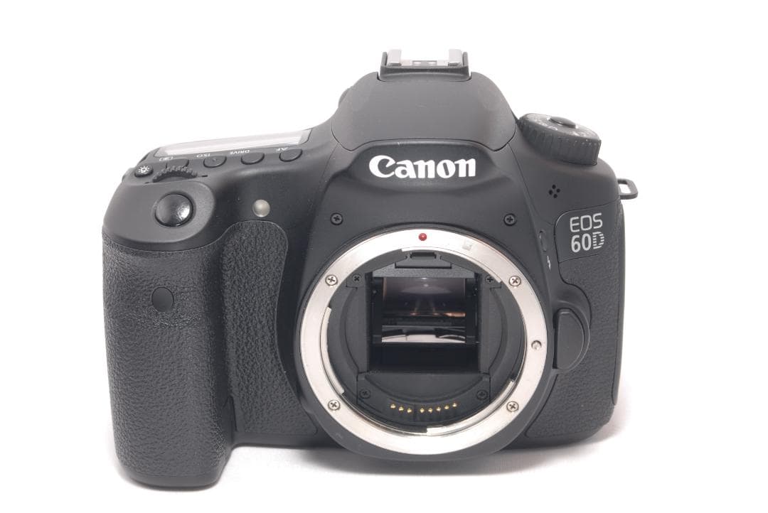 ⭐️素早いピント合わせ⭐️Canon EOS 60D キャノン　デジタル一眼