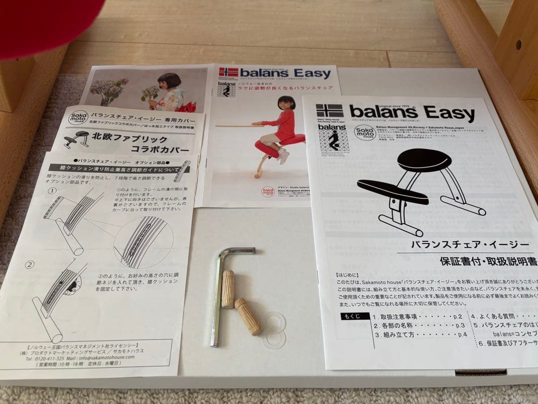 【美品】カバー付／箱付正規品 バランスチェア（サカモトハウス）バランスチェア