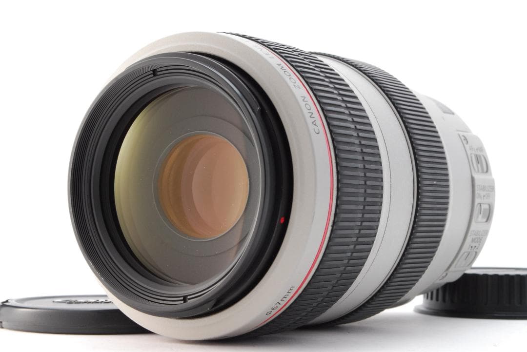 キャノン Canon EF 70-300mm F4-5.6 L IS USM