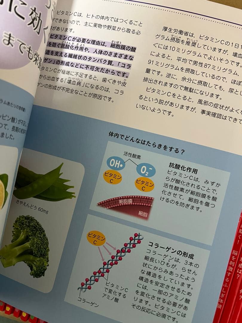 newton ライト　45冊