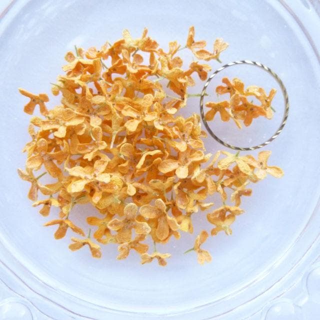 Pono様◆【ドライフラワー】キンモクセイ/金木犀 ♡（826）