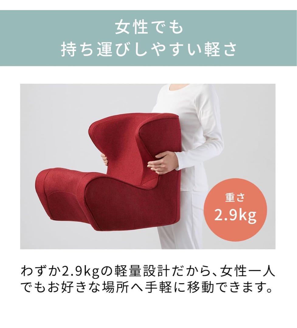 スタイルドクターチェア/Style Dr.CHAIRMTG 骨盤サポートチェア