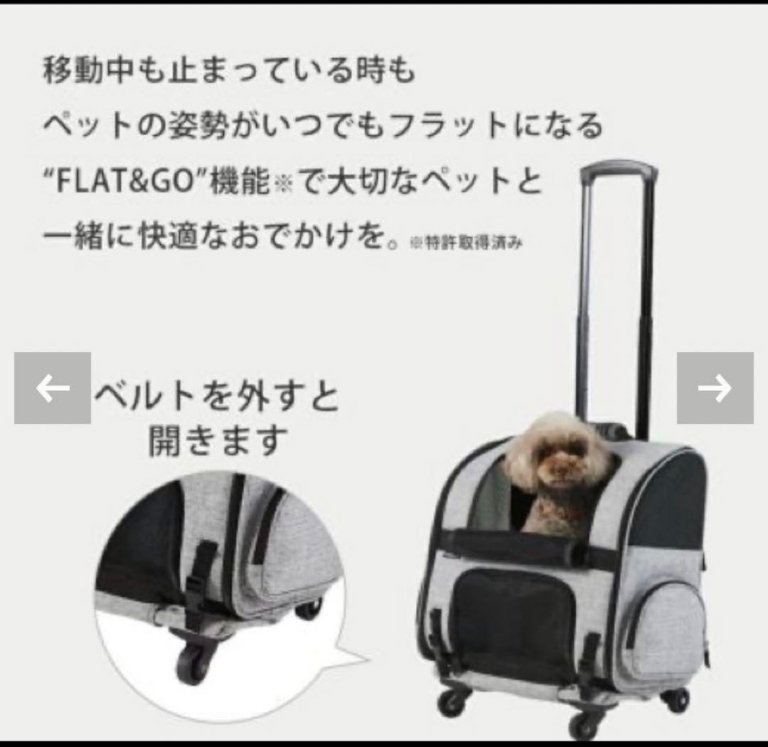 エアバギーフィット