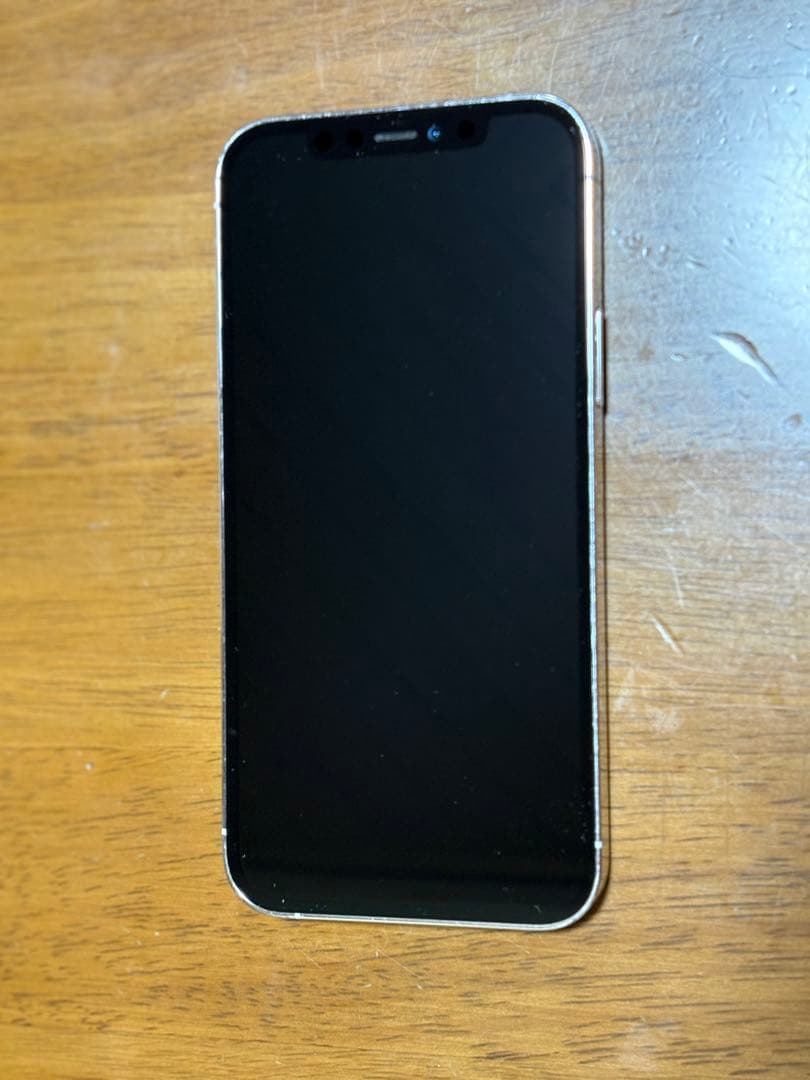 Apple iPhone 12 Pro本体