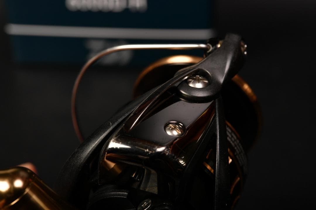 DAIWA 23 BG-SW 6000D-H 海上釣堀のみで使用