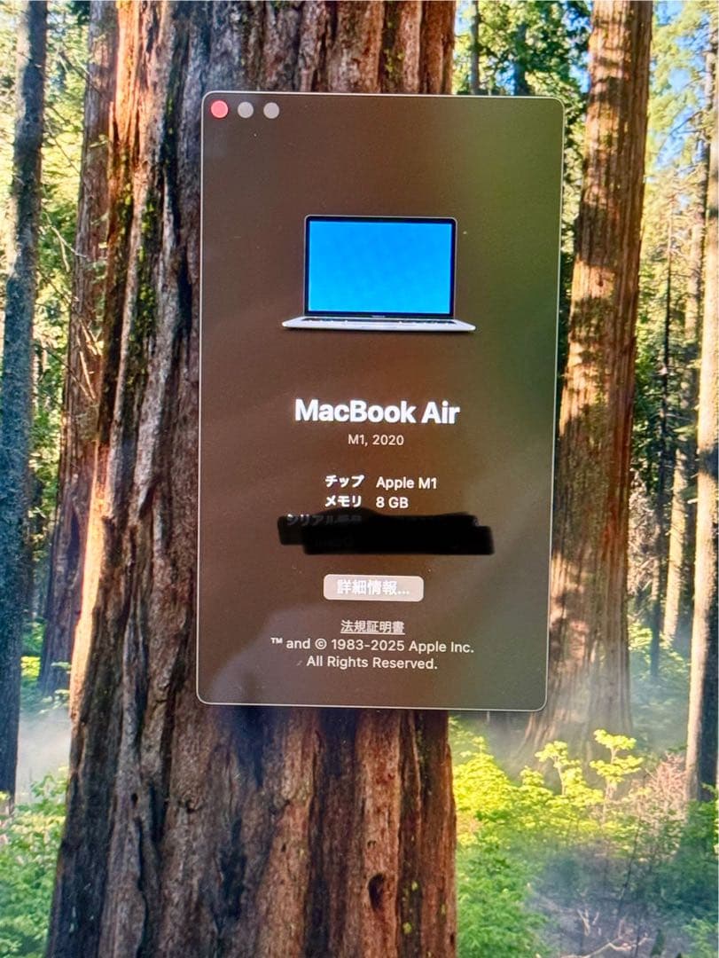 Apple MacBook Air M1 256GB シルバー 本体