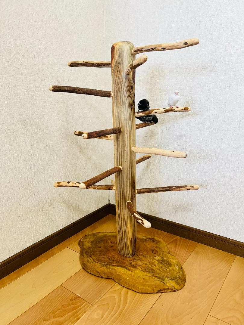 【中型鳥用】螺旋状♪ビビリさんにもすぃすぃ登れるバードスタンド
