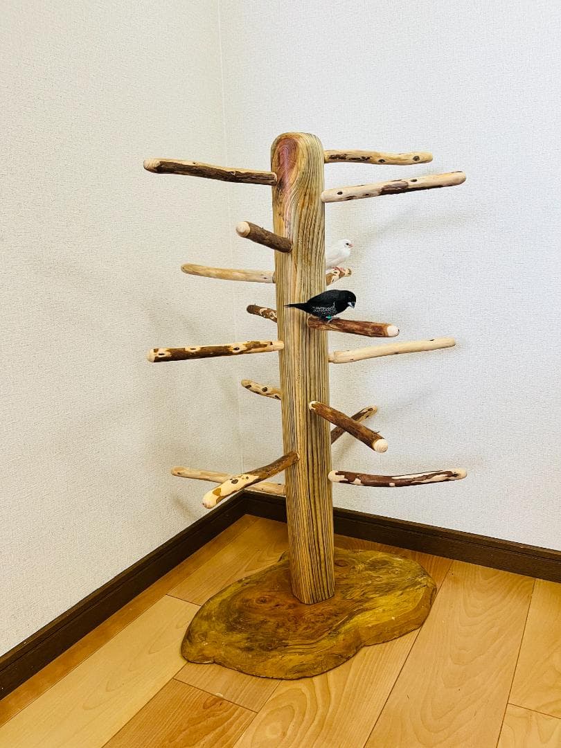 【中型鳥用】螺旋状♪ビビリさんにもすぃすぃ登れるバードスタンド