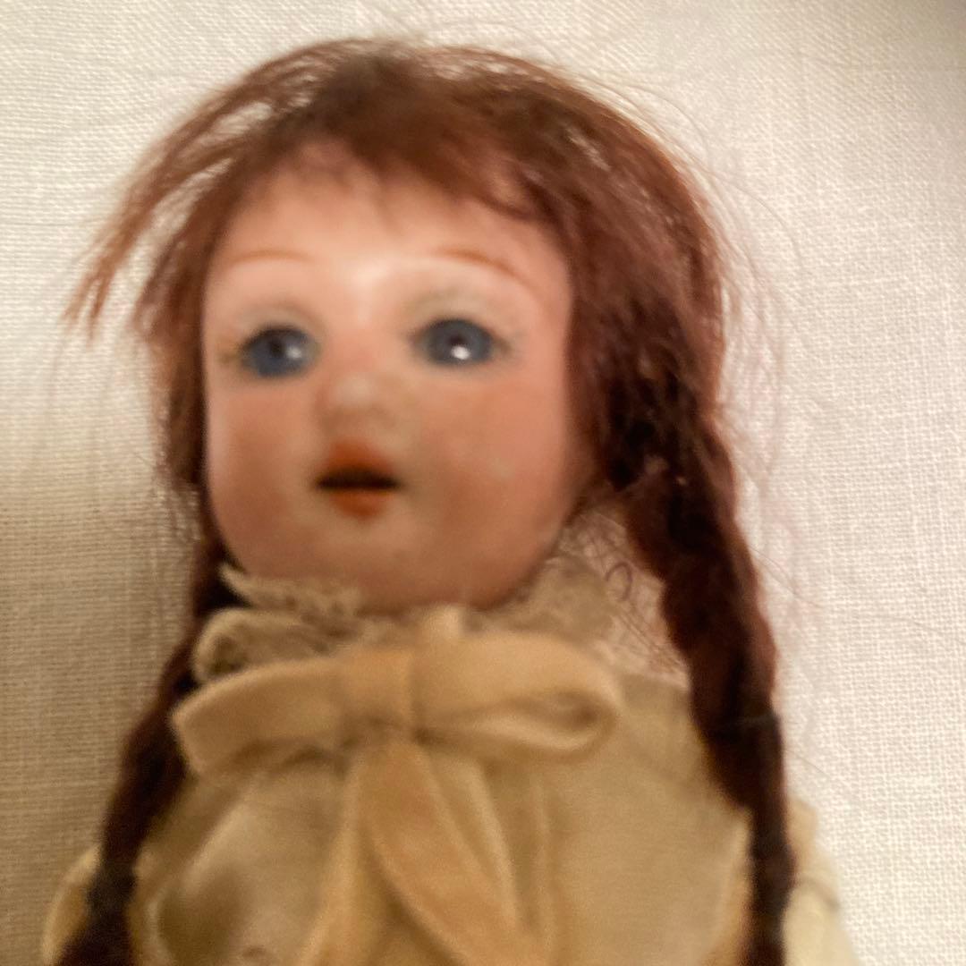 シモンハルビックミニョネット