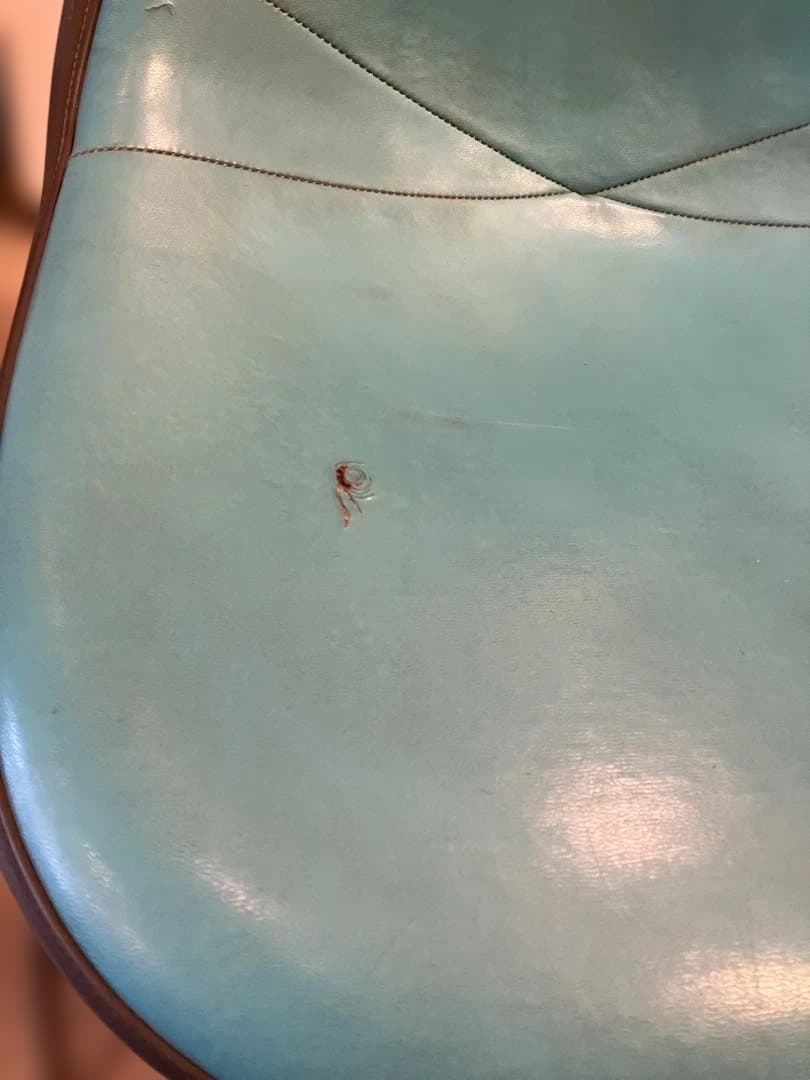 ビンテージ ナウガレザーイームズ