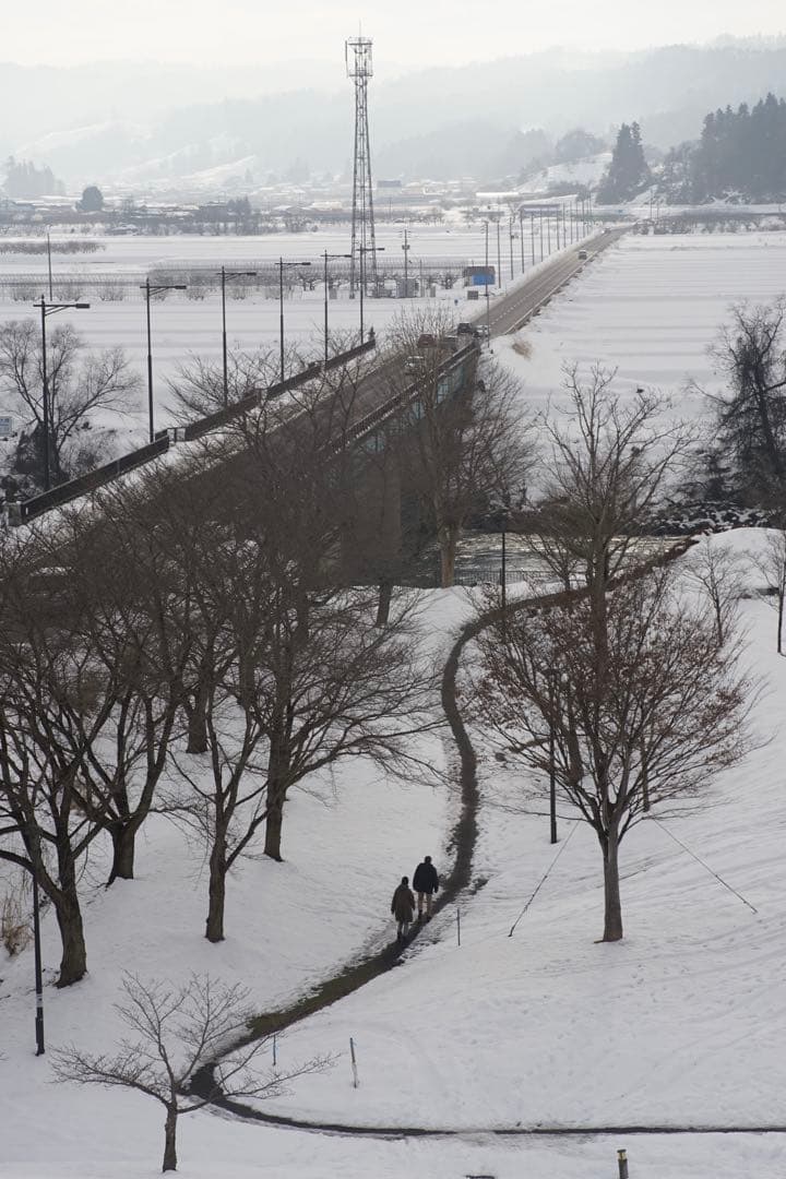 作例付き　TOKINA AT-X M100 100mm F2.8マクロ　管mpr