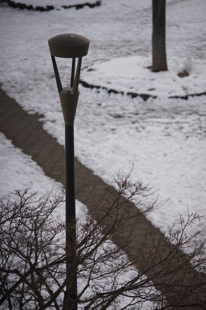 作例付き　TOKINA AT-X M100 100mm F2.8マクロ　管mpr