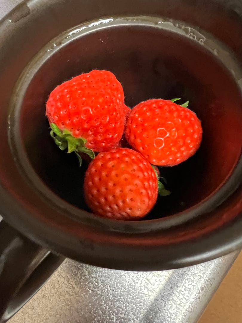 入荷しました、【新品】マイクロ波対策！電子レンジ専用　小判型磁性鍋