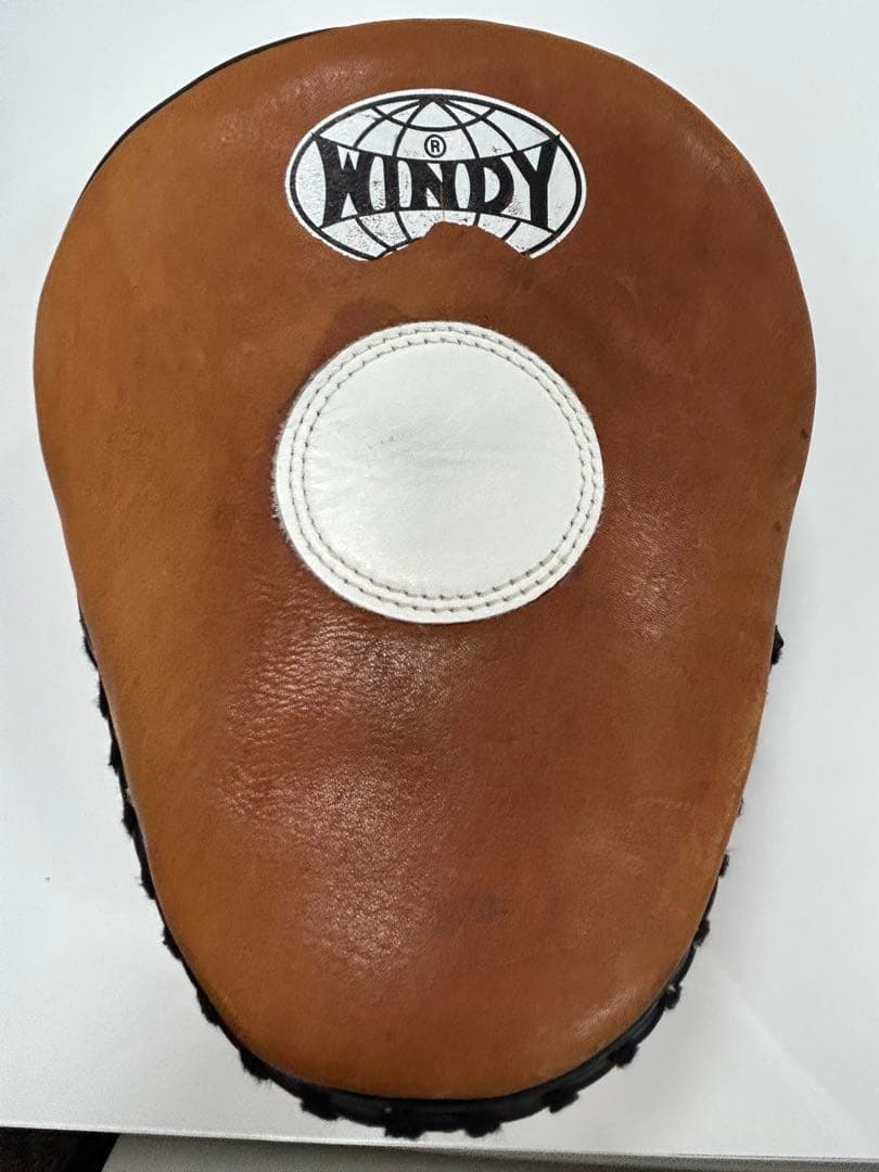 WINDY PROTON ボクシンググローブ3点セット