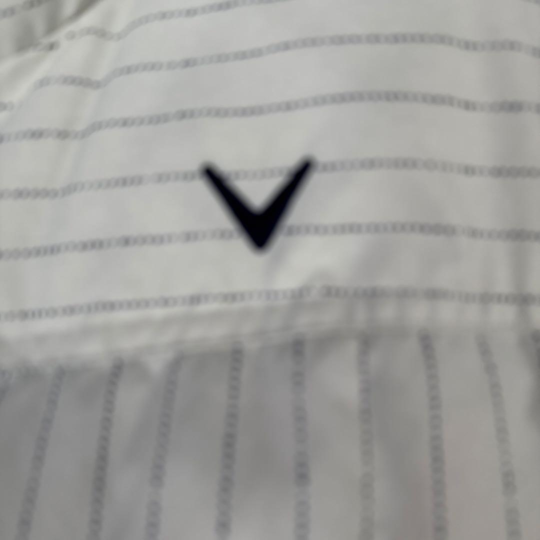 メンズジャケット LLホワイト ストライプ V字ロゴダウン