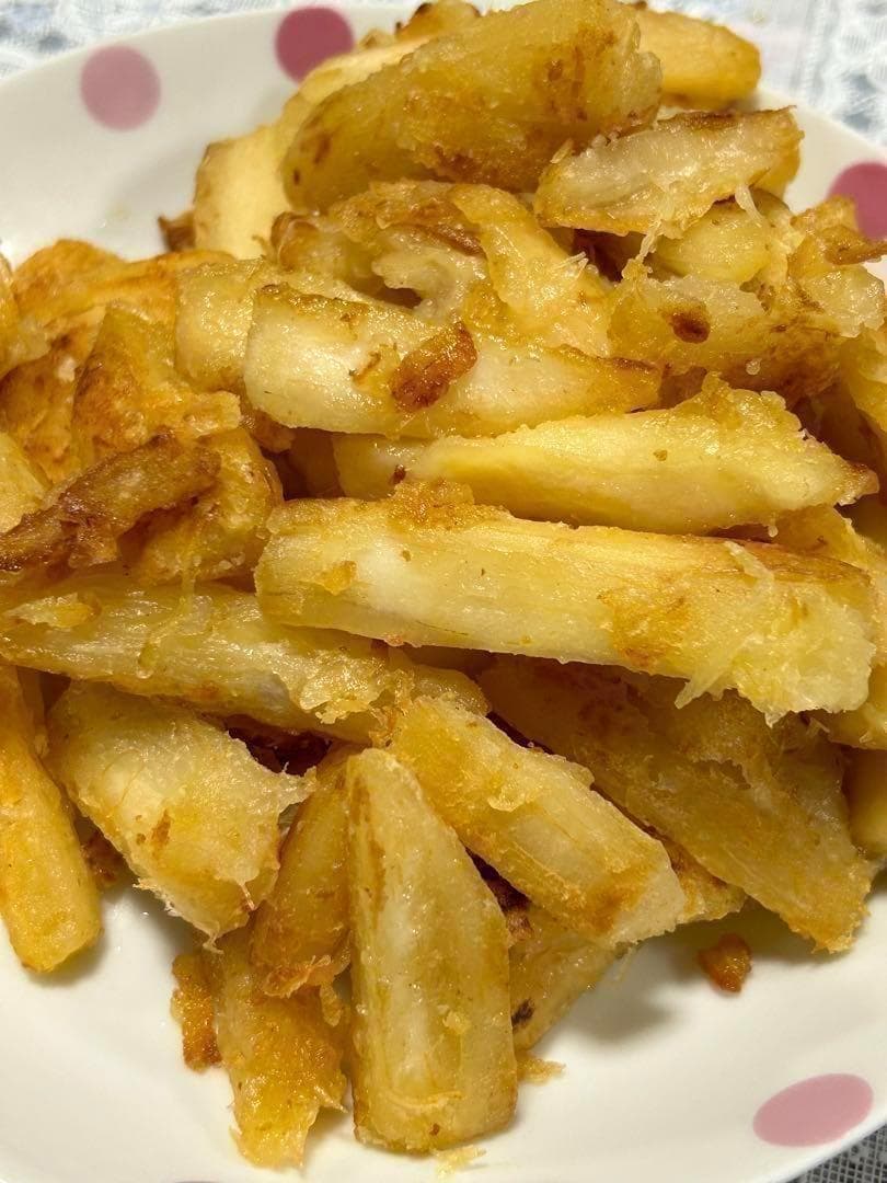 究極＝世界最高峰◆ゴールデン種/キャッサバ★80サイズ段ボール大箱満杯★挿し木枝