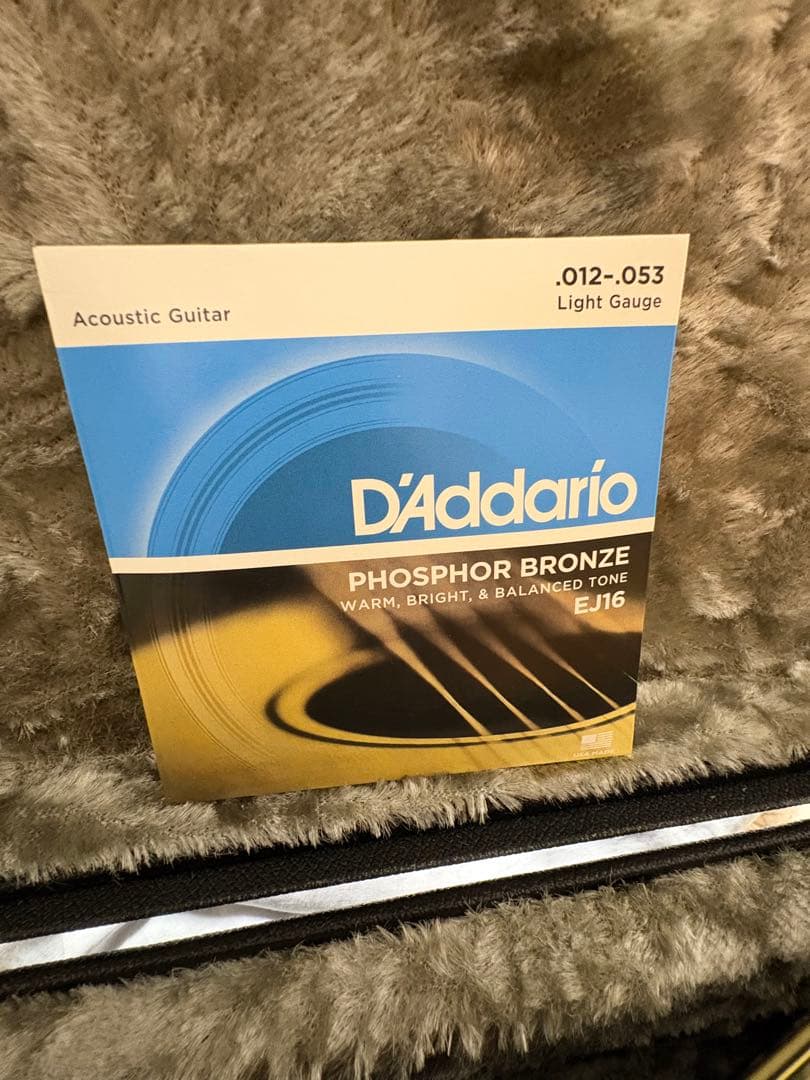 Morris W-50 単板トップ アコースティックギター 専用ハードケース付