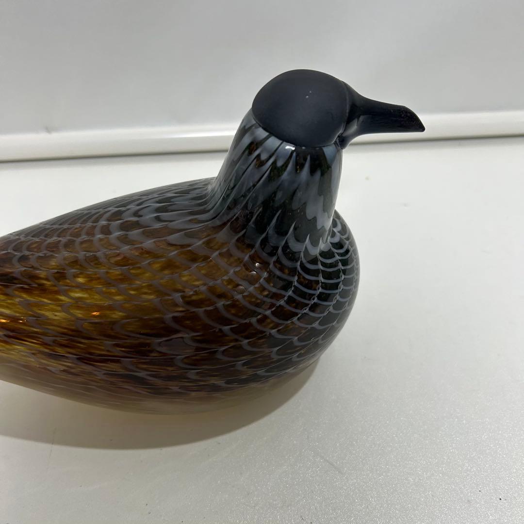 希少■オイバトイッカ バード Labbe nuutajarvi 