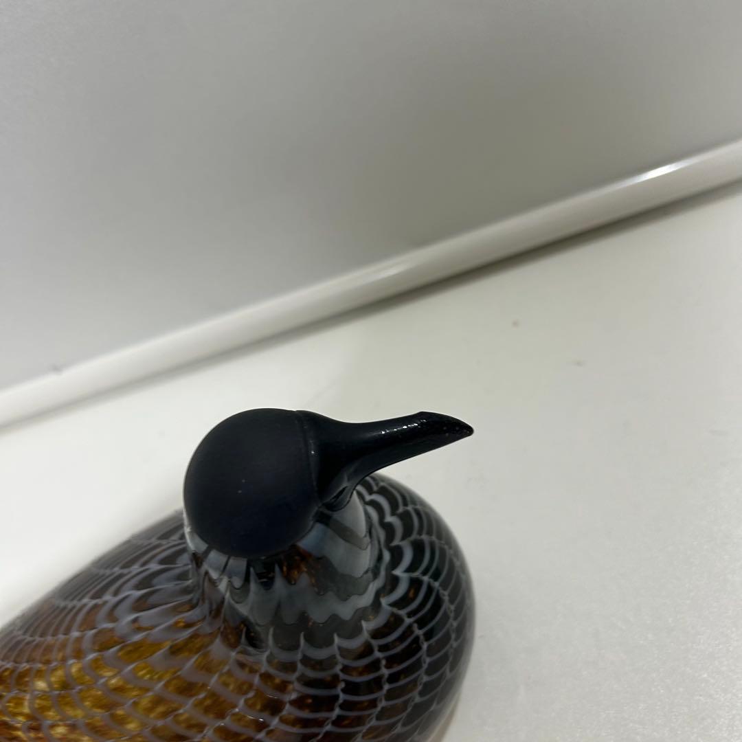 希少■オイバトイッカ バード Labbe nuutajarvi 