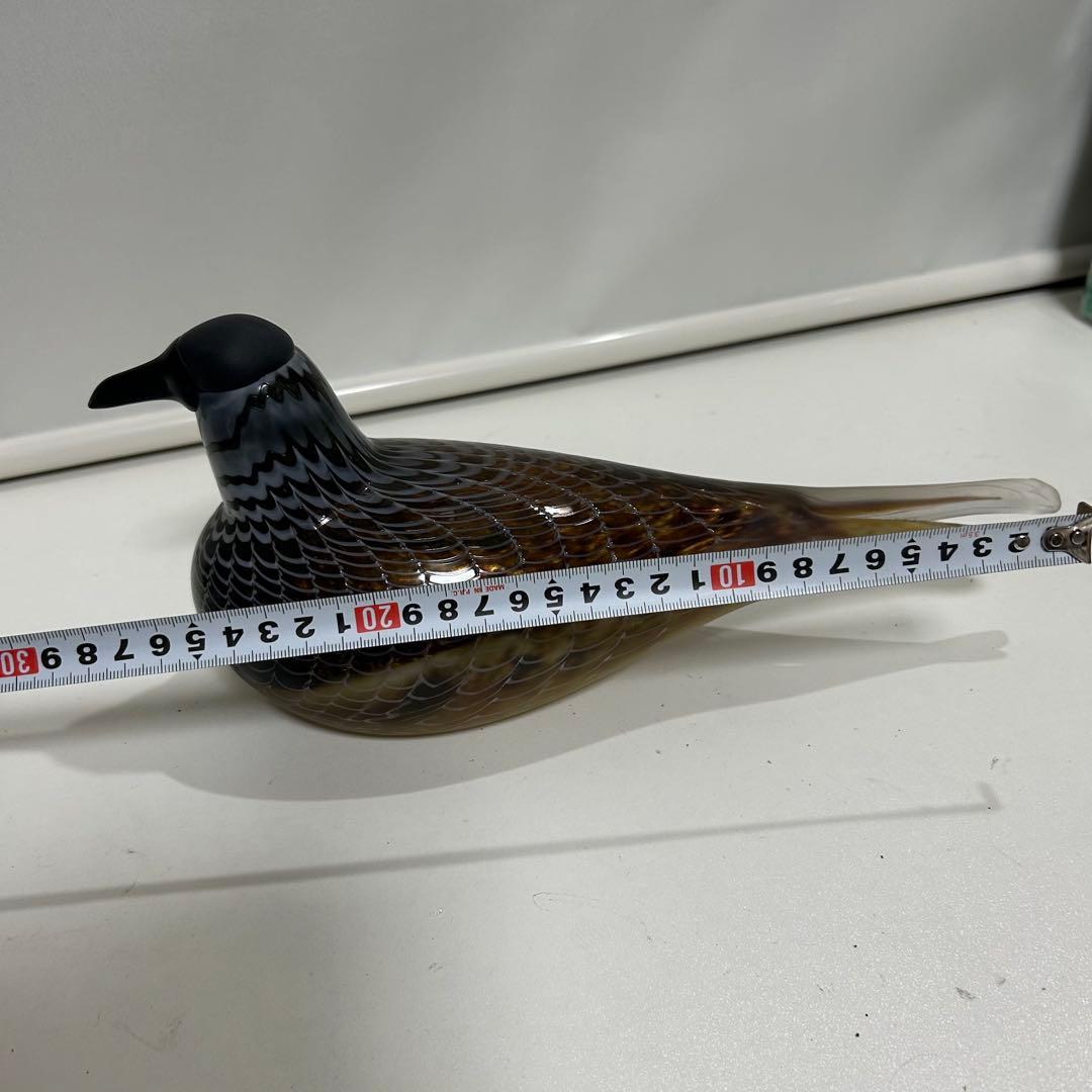 希少■オイバトイッカ バード Labbe nuutajarvi 