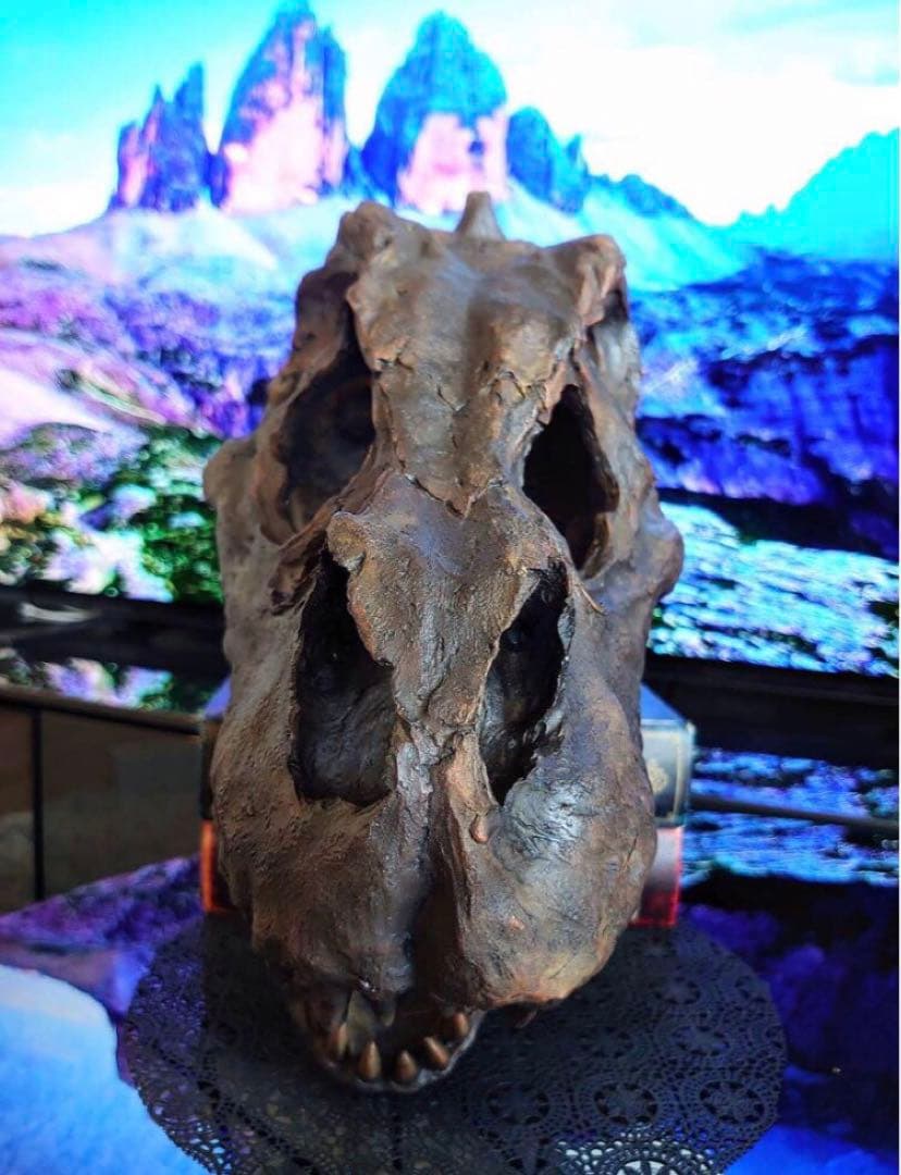 ✨お得なセット✨ ティラノサウルス トリケラトプス 化石 ジュラシックワールド