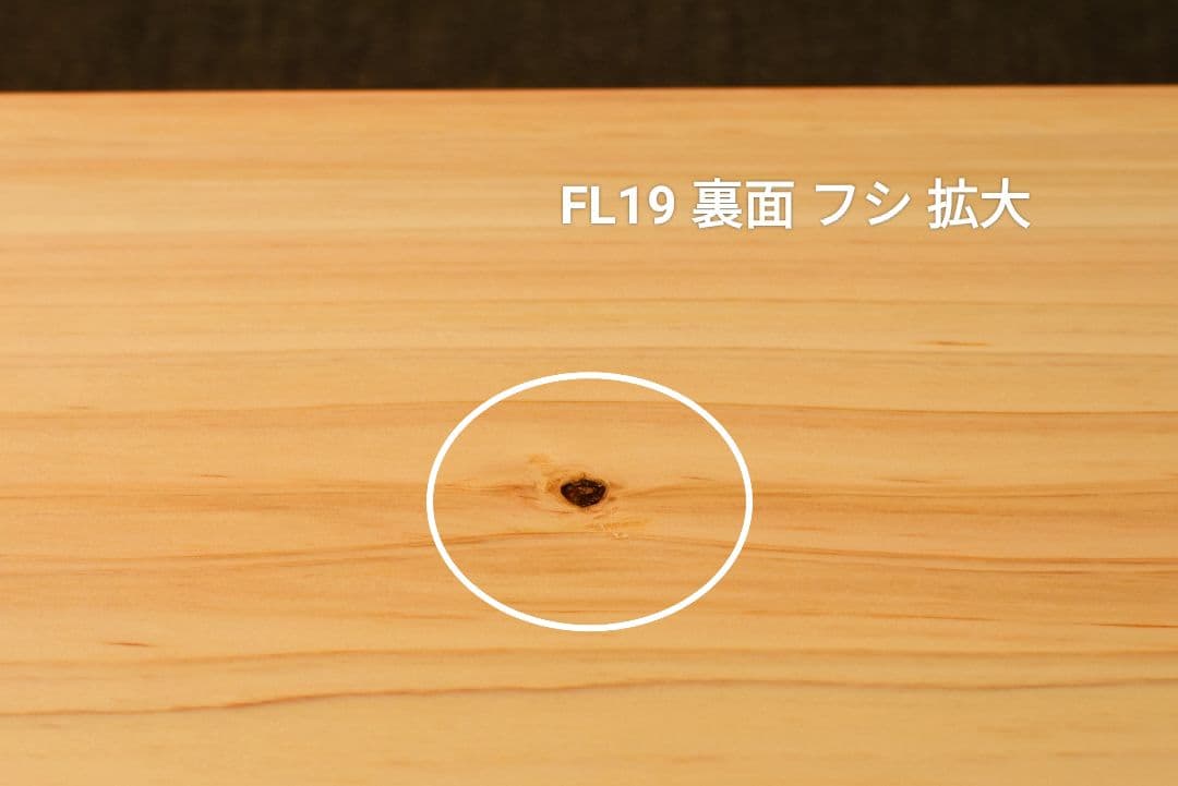 専用！ 他の方は購入しないでください！FM10とFL19！